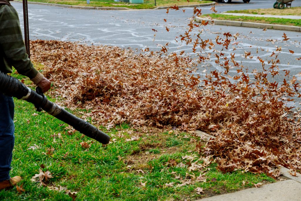 Landscaping in Billings. Lawn mowing & trimming, sod installation & repair, garden & flower bed maintenance, mulching & edging, shrub & hedge trimming, seasonal cleanups (spring & fall), leaf removal & disposal, weed pulling (manual or spot treatment), lawn rolling & leveling, existing landscape removal/repair, property clean up, dog waste removal & lawn repair, tree planting & young tree care, tree trimming & canopy thinning, hedge shaping & pruning, rock & gravel bed maintenance, storm debris cleanup, hardscape installation (patios, walkways, retaining walls), erosion control & drainage solutions, compost application, seasonal flower planting (annuals/perennials), edible garden setup (vegetable & herb beds), raised bed construction, and fence line clearing & maintenance.