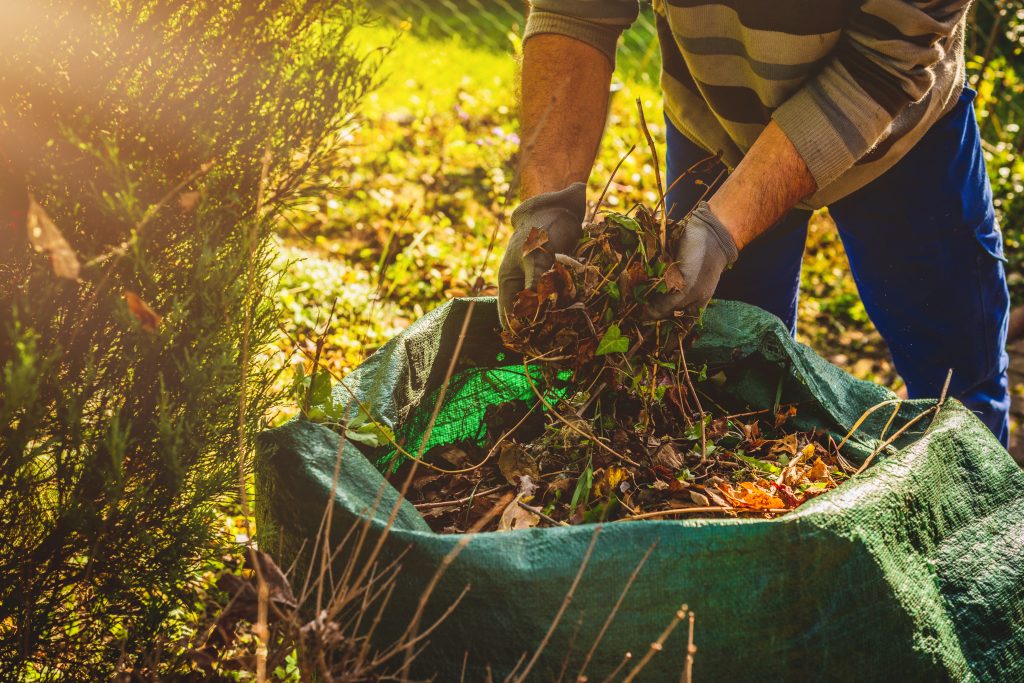 Landscaping in Billings. Lawn mowing & trimming, sod installation & repair, garden & flower bed maintenance, mulching & edging, shrub & hedge trimming, seasonal cleanups (spring & fall), leaf removal & disposal, weed pulling (manual or spot treatment), lawn rolling & leveling, existing landscape removal/repair, property clean up, dog waste removal & lawn repair, tree planting & young tree care, tree trimming & canopy thinning, hedge shaping & pruning, rock & gravel bed maintenance, storm debris cleanup, hardscape installation (patios, walkways, retaining walls), erosion control & drainage solutions, compost application, seasonal flower planting (annuals/perennials), edible garden setup (vegetable & herb beds), raised bed construction, and fence line clearing & maintenance.
