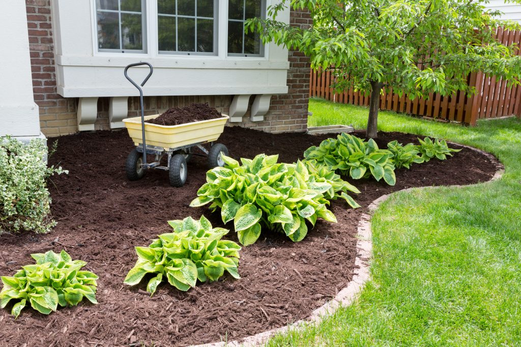 Landscaping in Billings. Lawn mowing & trimming, sod installation & repair, garden & flower bed maintenance, mulching & edging, shrub & hedge trimming, seasonal cleanups (spring & fall), leaf removal & disposal, weed pulling (manual or spot treatment), lawn rolling & leveling, existing landscape removal/repair, property clean up, dog waste removal & lawn repair, tree planting & young tree care, tree trimming & canopy thinning, hedge shaping & pruning, rock & gravel bed maintenance, storm debris cleanup, hardscape installation (patios, walkways, retaining walls), erosion control & drainage solutions, compost application, seasonal flower planting (annuals/perennials), edible garden setup (vegetable & herb beds), raised bed construction, and fence line clearing & maintenance.
